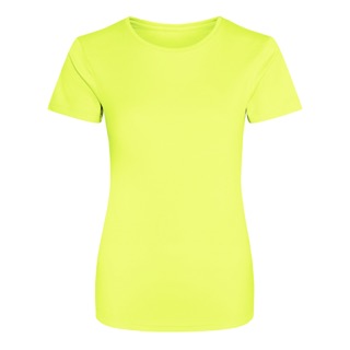 Ladies Fitted Performance T-shirt