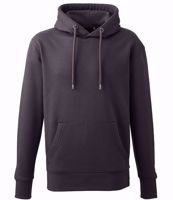 Picture of Anthem Hoodie