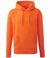 Picture of Anthem Hoodie