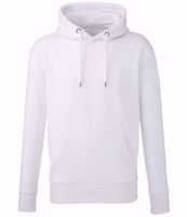 Picture of Anthem Hoodie