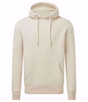 Picture of Anthem Hoodie